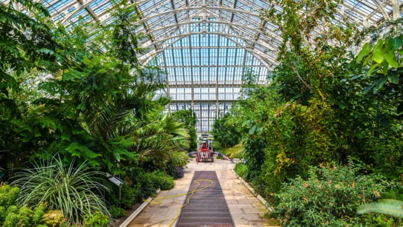 Kew Gardens Hero Image